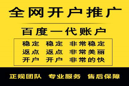 百度竞价排名机制：成功案例与策略探讨